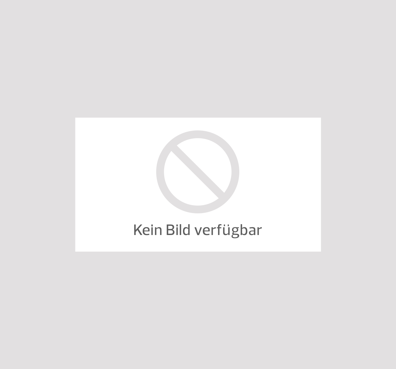 zdf fernsehgarten hunde